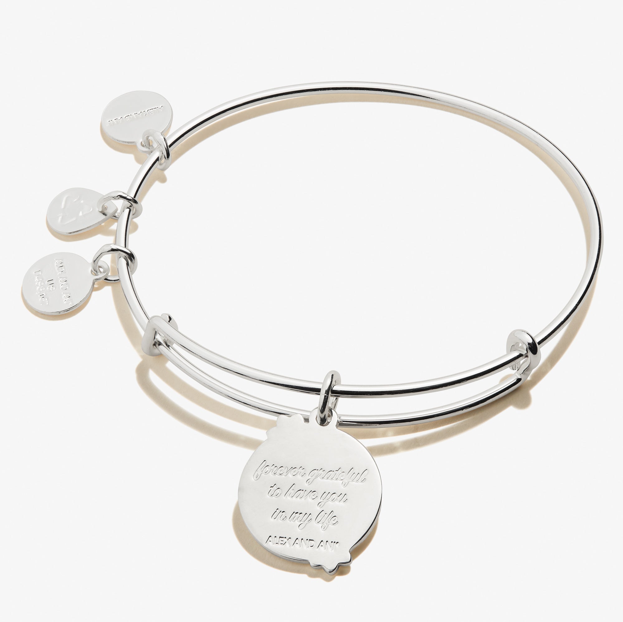 Bonus-Mom-Charm-Bangle-Silver-Back-A21EBMDAY13SS.jpg