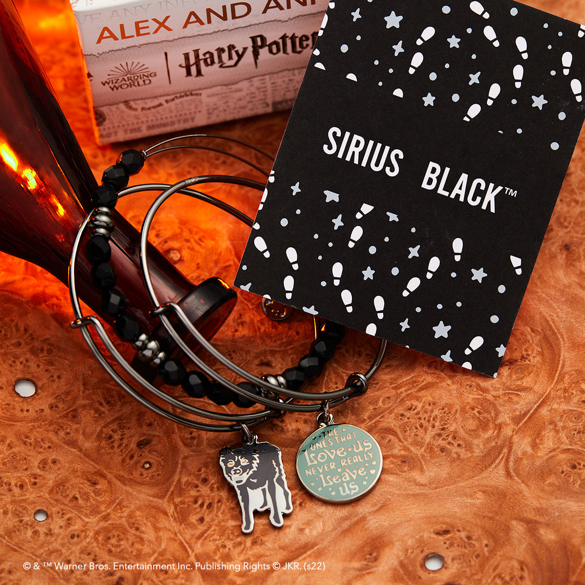 Harry Potter™ Sirius Black Charm Bangle Bracelets, Set of 3