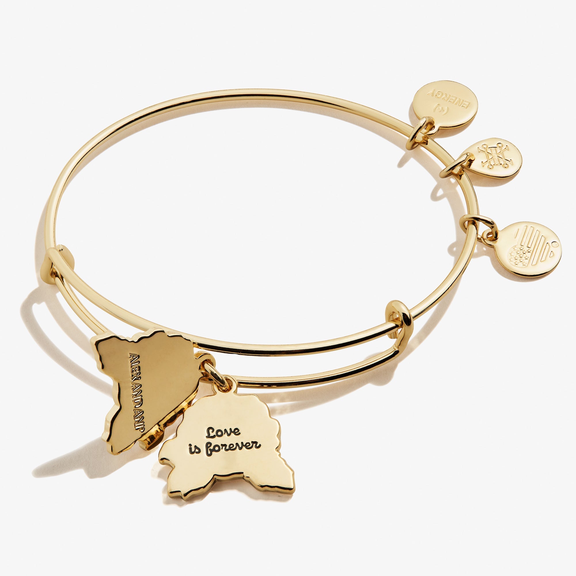 Red Rose Charm Bangle