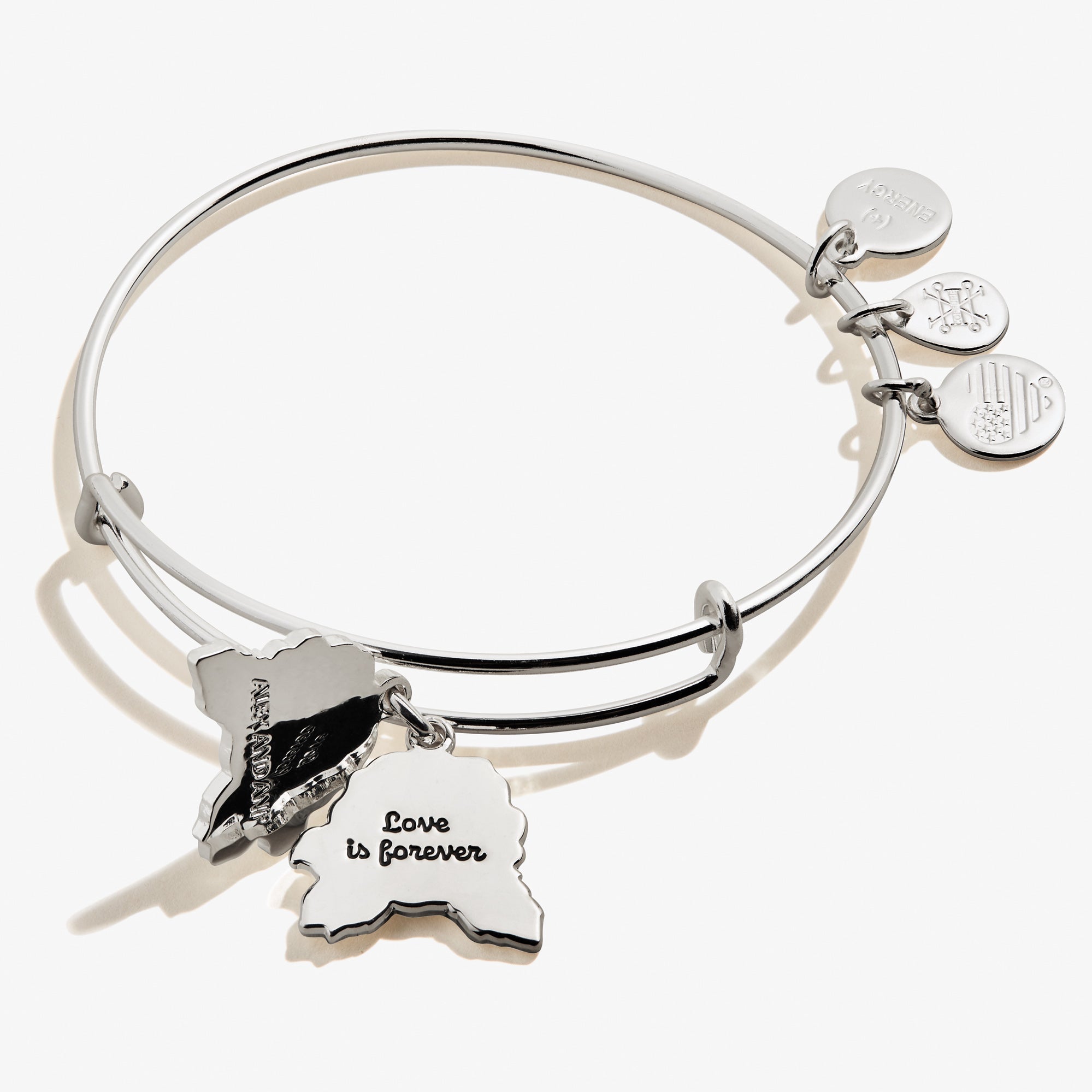 red-rose-charm-bangle-bracelet-front2-A21EBROSESS.jpg